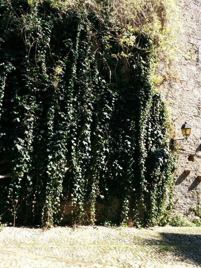 Honey House Parma Apartment ภายนอก รูปภาพ